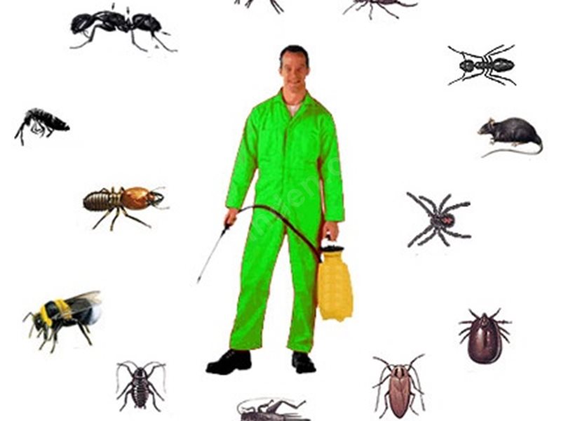 Tire Böcek İlaçlama